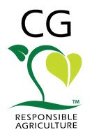 Clean Green Legal Group Homepage
